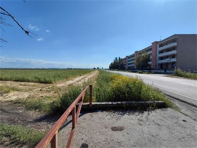 VENDITA TERRENO AGRICOLO - CARAPELLE